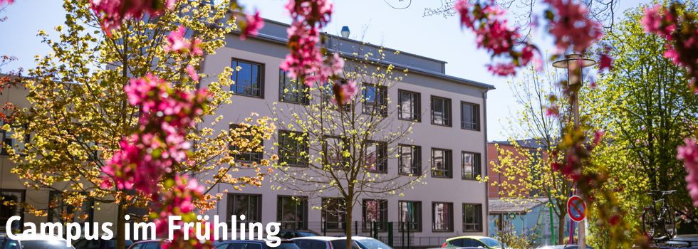 Text_campus frühling_header_980x350