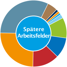 Spätere Arbeitsfelder